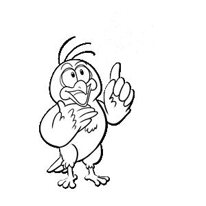 Pictus, un merle expert en gestion, ambassadeur de MCA Concept